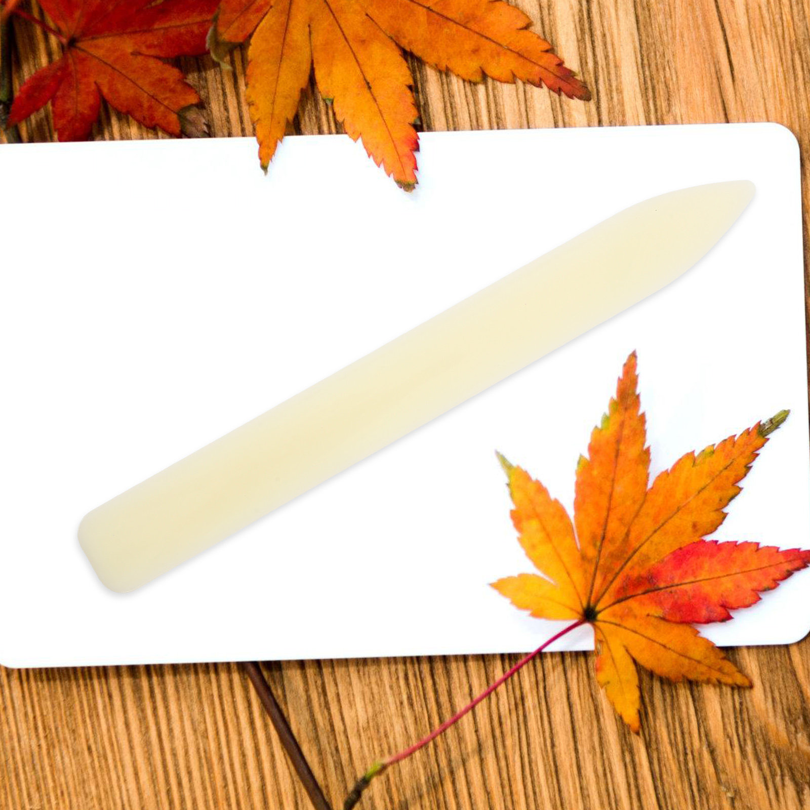 5 unidades de herramienta de p - Bone Folder Tool reseña y precio